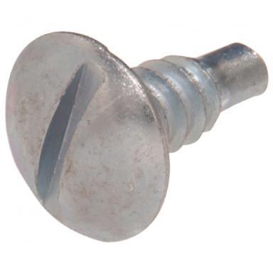 License Plate Screw Zn 15