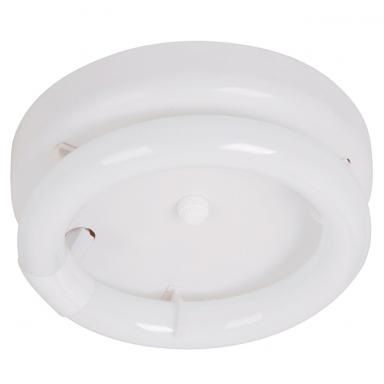 Lamp. T Circular Wht 1l 22w