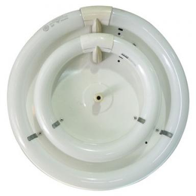 Lamp. T Circular Wht 2l 22/32w