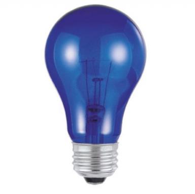 Bulb 25w A19 Blue