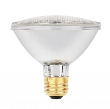 Halogen Par30 60w Clr