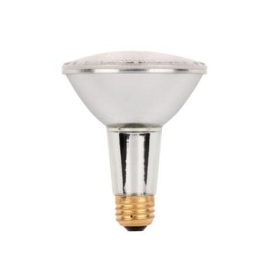 Halogen Eco Ln Flood 38w