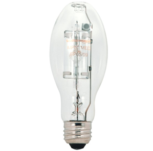 Security Light Bulbs