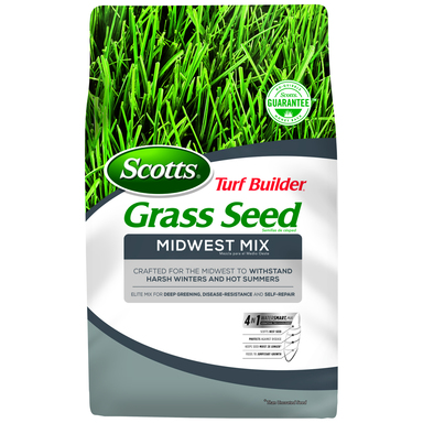 Grass Seed