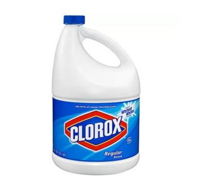 Clorox Blanq Regular Gl