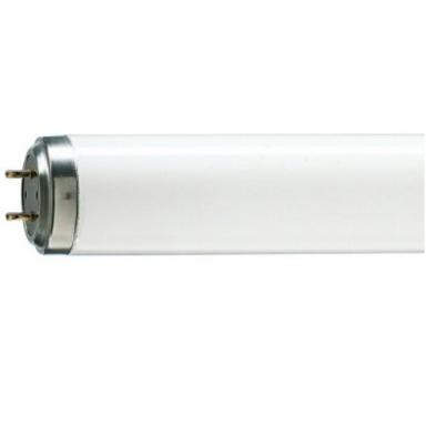 TUBO FLUORESCENTE 48" T12 40watt