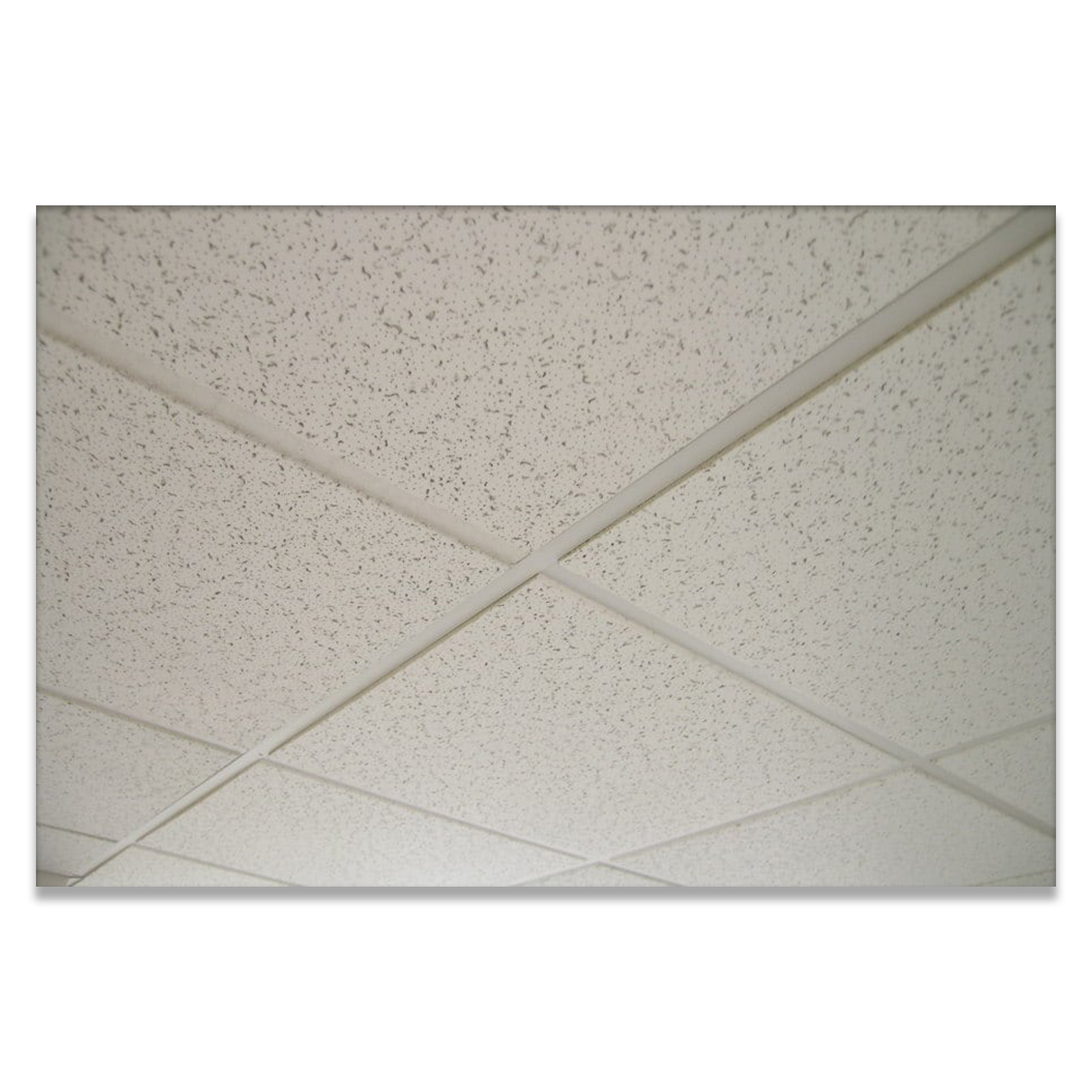 Ceiling Material