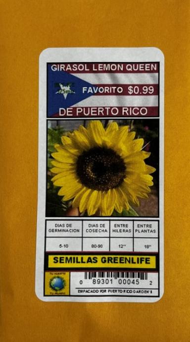 Semilla Girasol Gigante