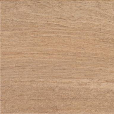 Losa Legno Roble 10x40