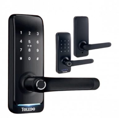 C. Toledo Smart Level Digital