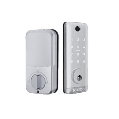 C. Toledo Inteligente Digital