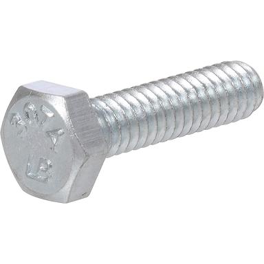 Hx Tap Bolt 1/4x1        100