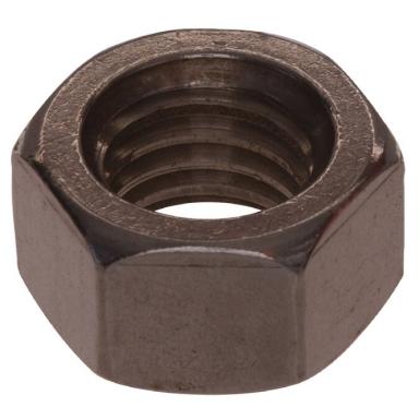 Hx Nuts 18-8 NF 1/4-28 50